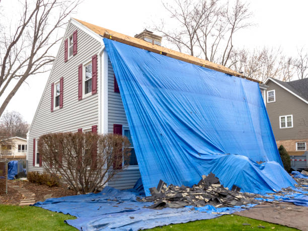 Best Yard Waste Removal  in Walce, LA